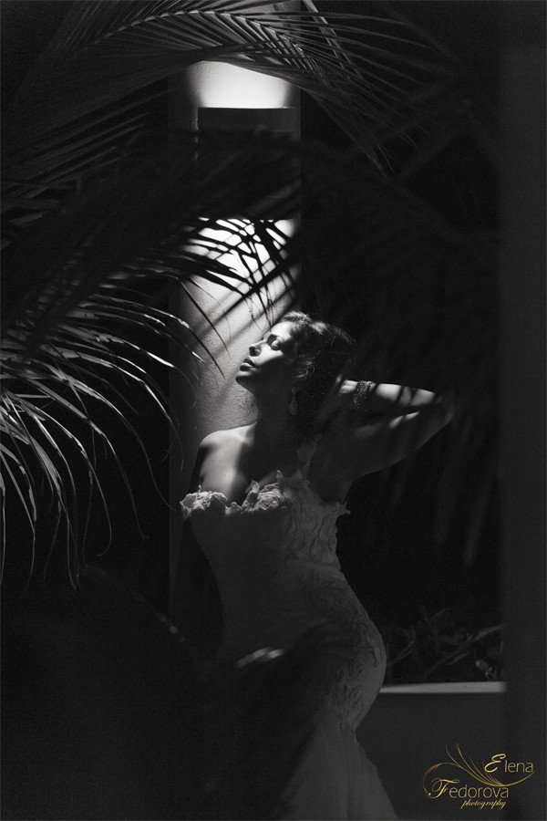 bridal portrait black and white