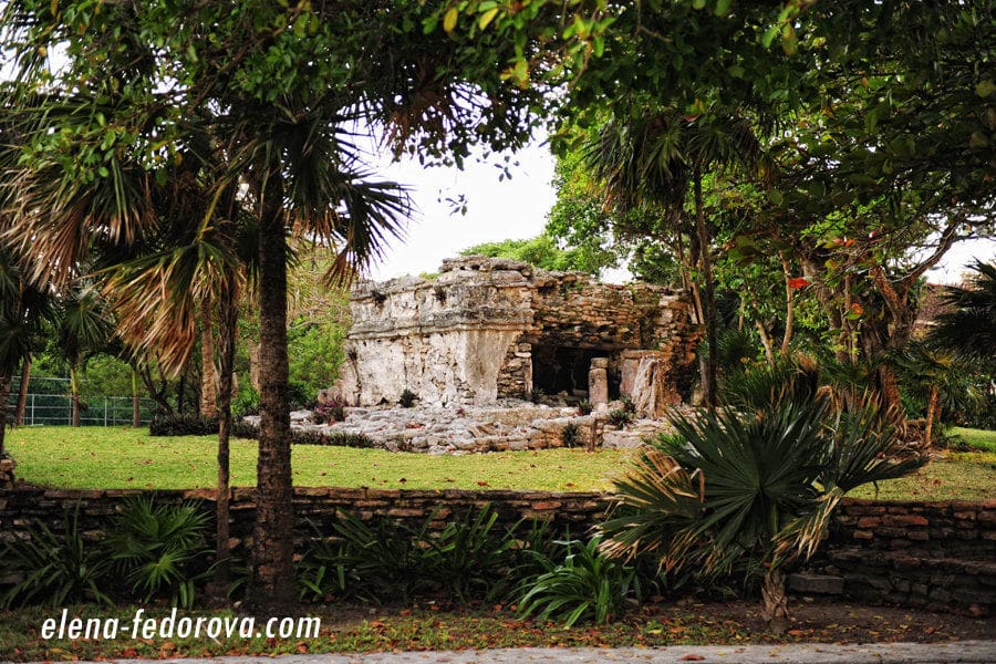 what to do in playa del carmen 