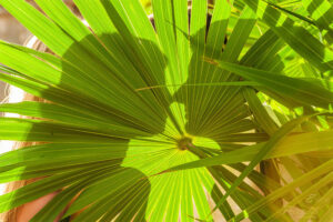 creative photography playa del carmen