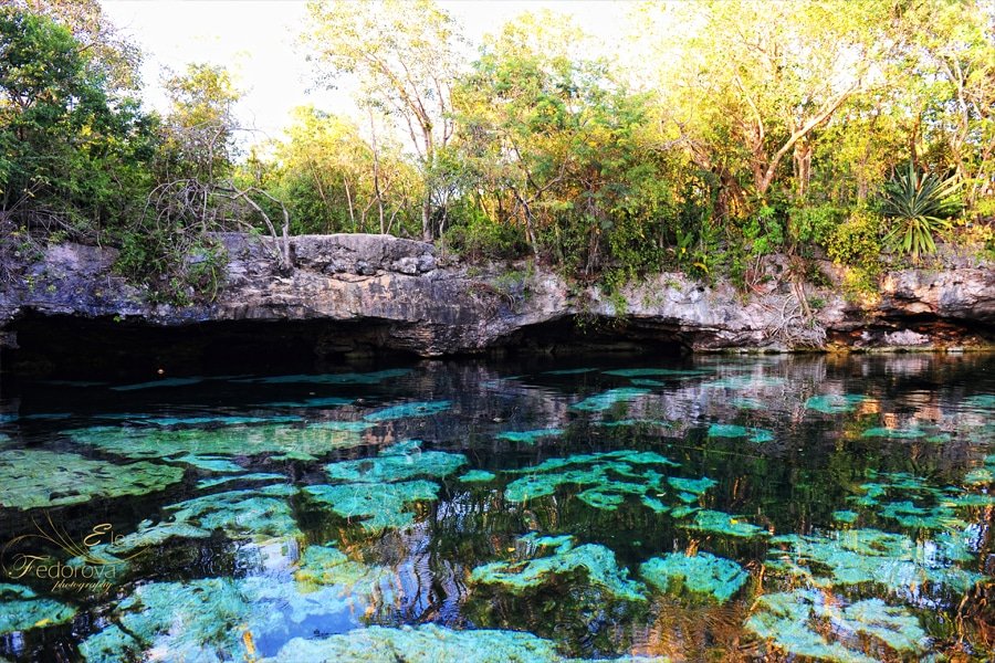 cenotes in mexico azul