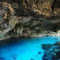 Yucatan cenotes a gift of the mexican nature.