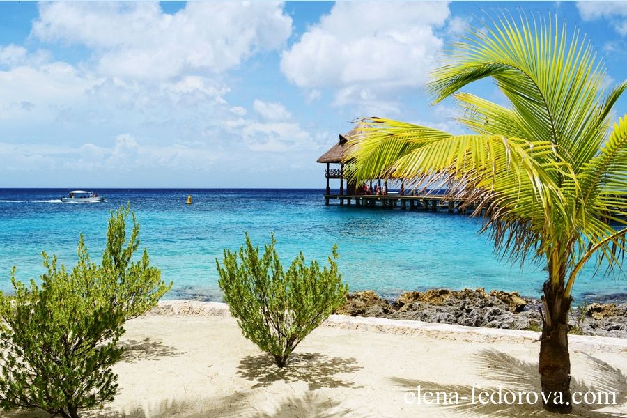 top things to do in cozumel