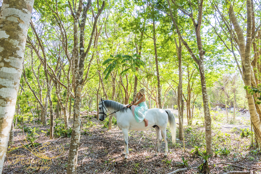 horse photographer mexico