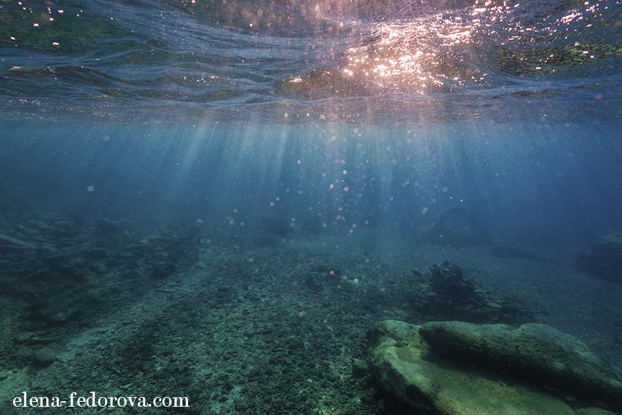 underwater photography cozumel