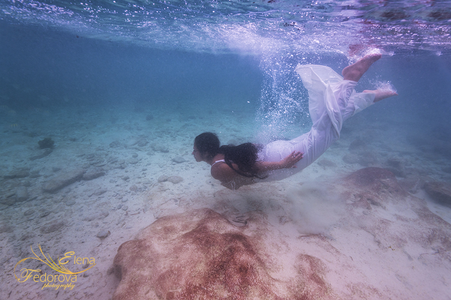 diving in the sea photo creative