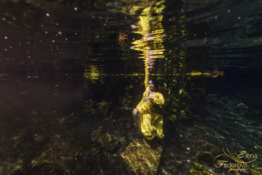 stunning underwater photography