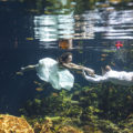 Trash the dress and underwater in cenote.
