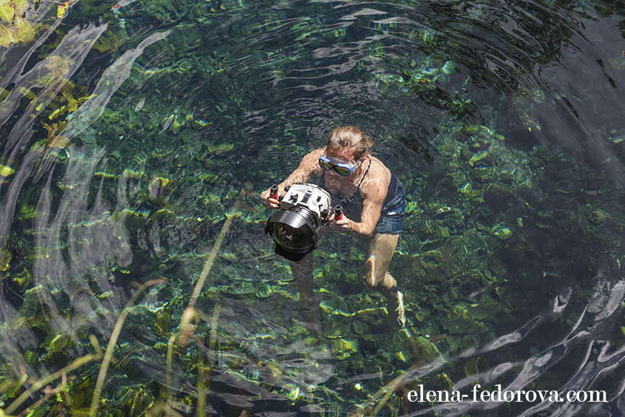 underwater phoot session riviera maya
