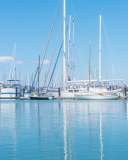 A weekend away feels like stepping into a softer version of life, where time slows and every detail feels magical. Morning coffee tastes better when sipped under foreign skies, with unfamiliar streets waiting just around the corner. The joy of wandering without a plan makes every discovery feel like a secret meant only for you. Sunsets turn into gentle promises that tomorrow will be just as beautiful. And when it’s over, you return home carrying little pieces of that place tucked inside your heart.
.
.
.
.
.
.
.
.
.
.
#travel #travelingtheworld #traveling #travelingram #travelblog #travelphotography #travelphotos #slowtravel #slowtraveling #exploretheglobe #artandtravel #fineartphotography #fineartphotography #photographyisart #photographylover #photoart #interiordesigns #interiorinspo #interiordesigncommunity #creativephotos #macrophotography #landscapephotography #streetphotography #photoprinting #nikonphotography #interiordesignphotography #interiordesignblog