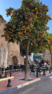 The Marbella fortress and its walls, popularly called “El Castillo” (The Castle), date back to the 10th or 11th century and are a Heritage of Cultural Interes. #spain #travel #movetospain #marbella #malaga