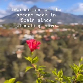 I think when you move to Spain, it’s almost a basic instinct to fall straight into Eat, Pray, Love mode — specifically the “Eat” part. The food is just too good to resist, even when you’re already full. And while we’re definitely not here as tourists (there’s a long to-do list that comes with establishing residency), we’ve still found time to go out, linger over meals, and wander through markets filled with the freshest produce and seafood. The variety alone is almost overwhelming, in the best way. I keep standing there thinking… where do I even start? Which fish do you buy first? #movetospain #spain #malagaspain